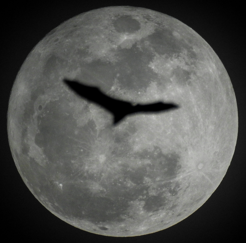 La silueta de un murciélago se interpone en esta foto de la superluna. Imagen: ChopWood CarryWater / Flickr